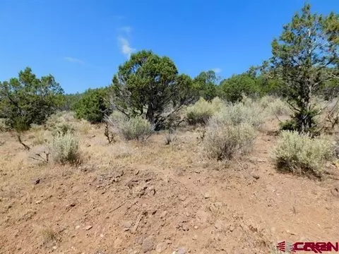 240 SE Flintlock Ct, Cedaredge, CO 81413 photo 5