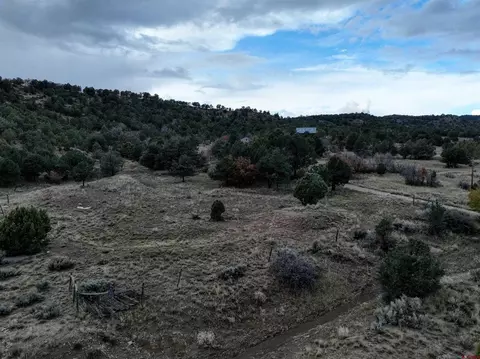 455 589 High Llama Ln, Durango, CO 81301