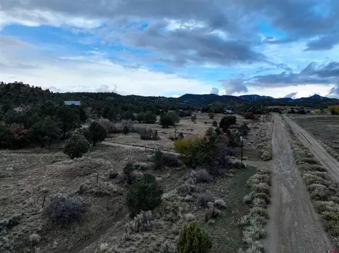 455 589 High Llama Ln, Durango, CO 81301 photo 5