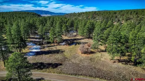 222 Regal Pines Ct, Pagosa Springs, CO 81147