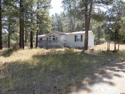1000 Ute Dr, Pagosa Springs, CO 81147