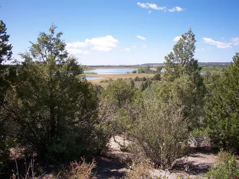 13989 Road 356, Mancos, CO 81328