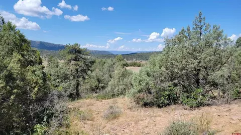 531575 W View Rd, Pagosa Springs, CO 81147