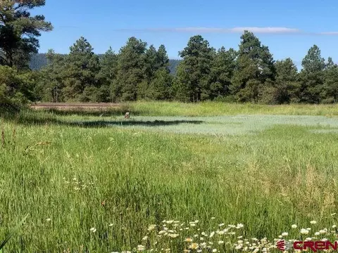 254 Park Ave, Pagosa Springs, CO 81147