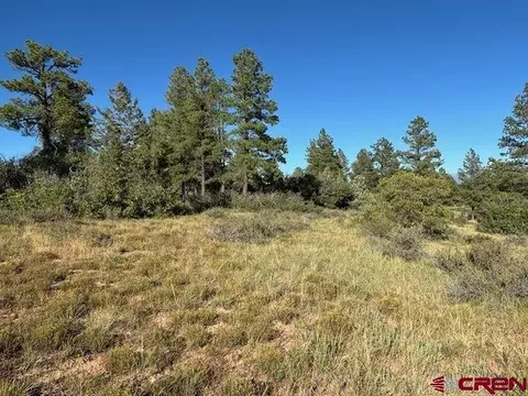 50 Eiffel Ct, Pagosa Springs, CO 81147