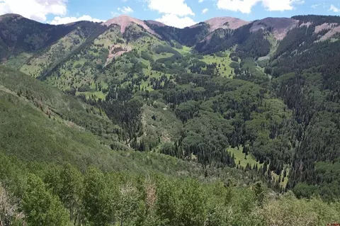 tbd Forest Service Road 567, Mancos, CO 81328