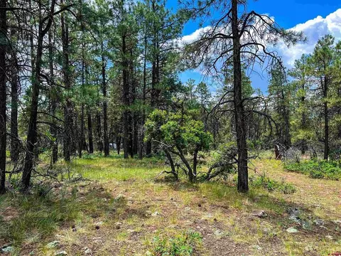 160 Far Vw, Pagosa Springs, CO 81147