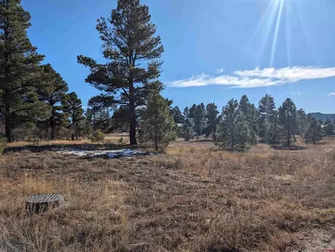 129 Park Ave, Pagosa Springs, CO 81147