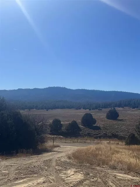 3924 County Road 700, Pagosa Springs, CO 81147