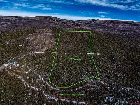 tbd Bear Slide Rd, Cedaredge, CO 81413