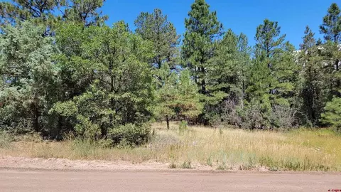 1178 Crooked Rd, Pagosa Springs, CO 81147