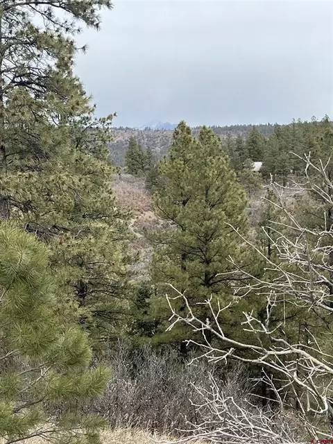 176 Pineridge Tr, Pagosa Springs, CO 81147