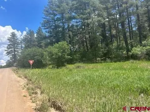 22 River Run Dr, Pagosa Springs, CO 81147