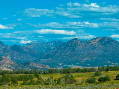 tbd Fruitland Mesa Rd, Crawford, CO 81415