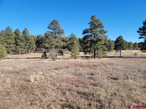 29 Sumba Ct, Pagosa Springs, CO 81147
