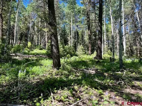 457 Ute Dr, Cimarron, CO 81220