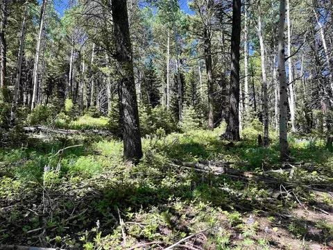 457 Ute Dr, Cimarron, CO 81220 photo 12