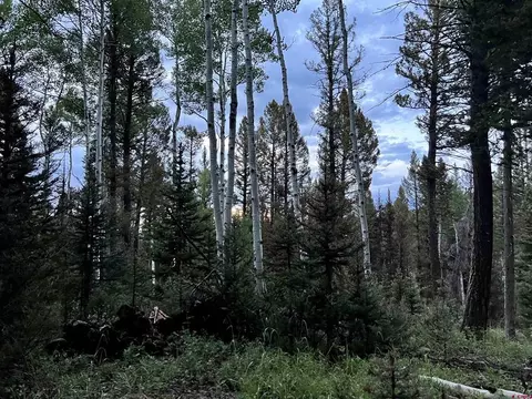 457 Ute Dr, Cimarron, CO 81220 photo 19