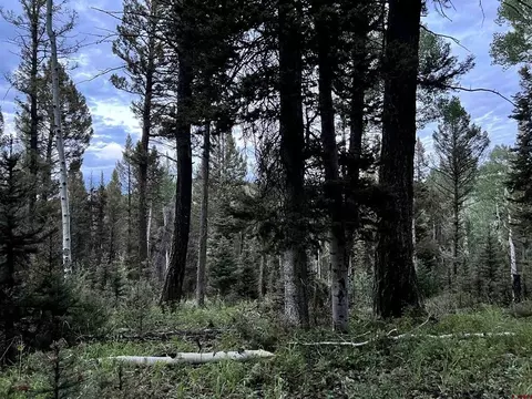 457 Ute Dr, Cimarron, CO 81220 photo 18