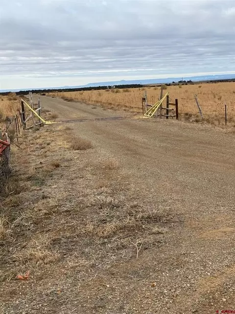 tbd Road 15, Yellow Jacket, CO 81321