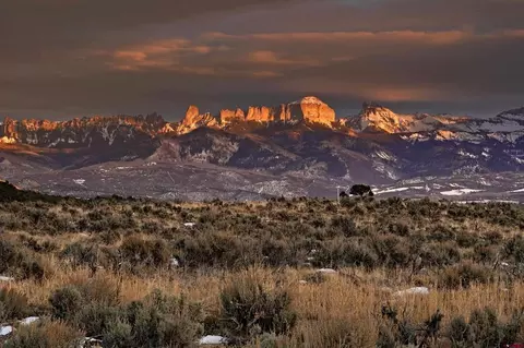 221 Dallas Ct, Ridgway, CO 81432