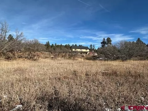 671 Edgemont Meadows Rd, Durango, CO 81301 photo 13