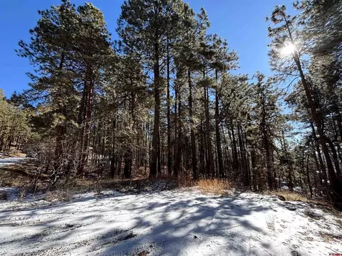 228 Timber Dr, Bayfield, CO 81122