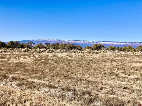 lot9 Summit Ct, Cedaredge, CO 81413