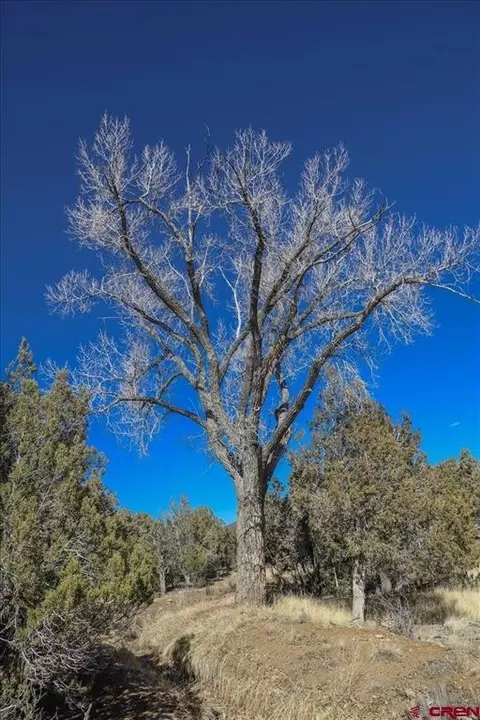 17580 Highway 151, Arboles, CO 81121