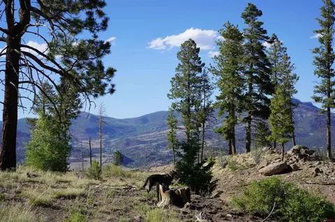 0852 Forest Cir, South Fork, CO 81154