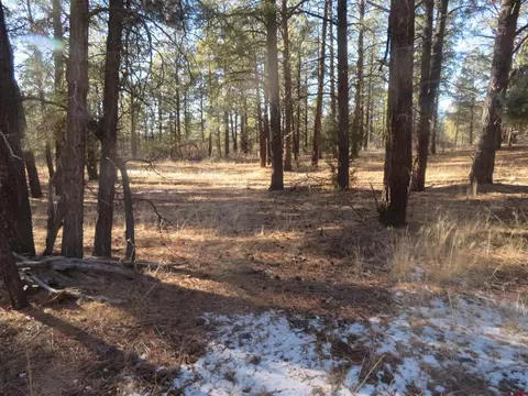 553 Crooked Rd, Pagosa Springs, CO 81147
