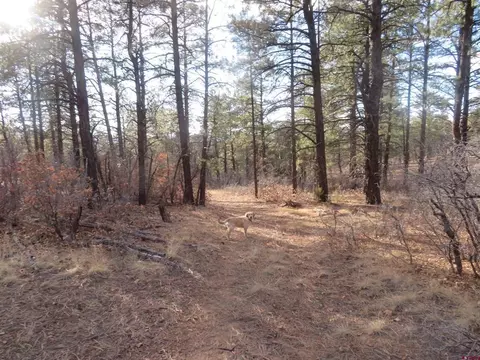 735 Doc Adams Rd, Pagosa Springs, CO 81147