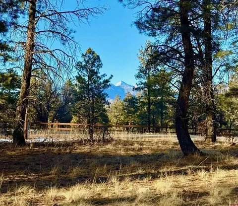 415 Oakbrush St, Pagosa Springs, CO 81147