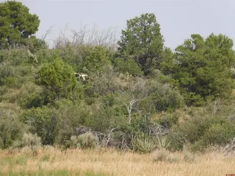 lot S 1-3 Road 21, Lewis, CO 81327