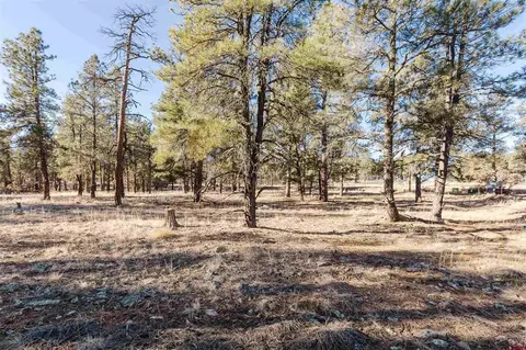 16 S Squaw Canyon Pl, Pagosa Springs, CO 81147
