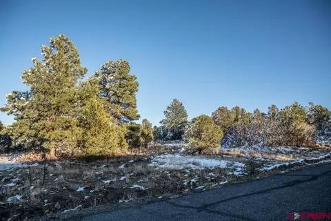 lot554 N Badger Trl, Ridgway, CO 81432