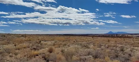14134 Road N3 Rd, Cahone, CO 81320