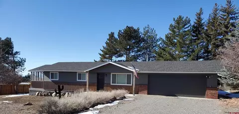 596 NE Ginters Grove Ln, Cedaredge, CO 81413