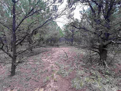lot16 Canyon Dr, Ridgway, CO 81432