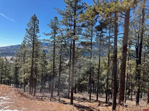 276 Deer Ridge Dr, Bayfield, CO 81122