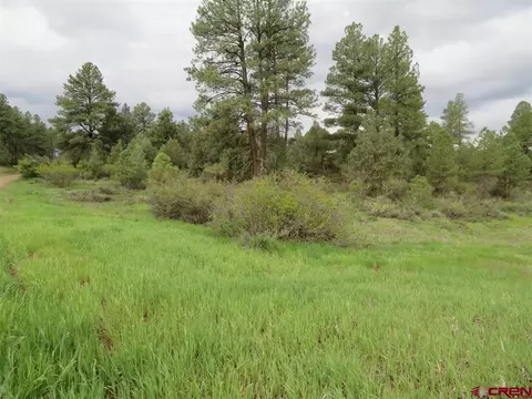 152 Hurt Ln, Pagosa Springs, CO 81147