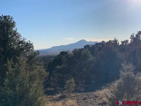 lot14 Road V4, Dolores, CO 81323