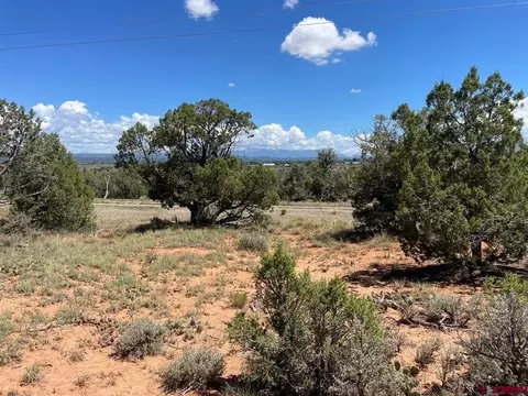 lot4 Road 243, Cortez, CO 81321