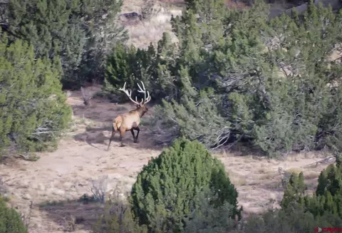 84521 County Road 402 #POITRY CANYON RANCH, Branson, CO 81027