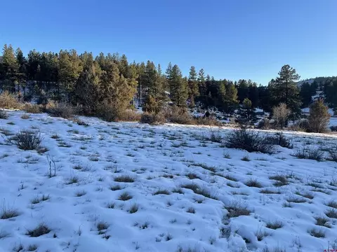 175 Stollstiemer Ln, Pagosa Springs, CO 81147