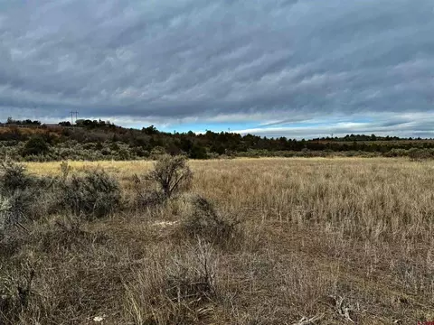 000 T5 Rd, Dolores, CO 81323