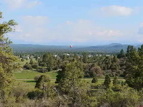 1654 Carino Pl, Pagosa Springs, CO 81147