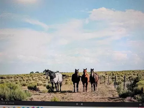 16073 Co Rd 55 Rd, Saguache, CO 81149