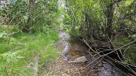 175 Bear Cub Holw, South Fork, CO 81154