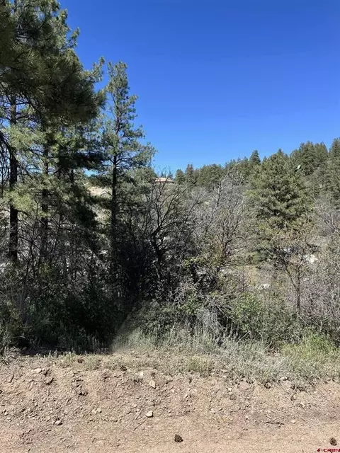222 Pineridge Tr, Pagosa Springs, CO 81147